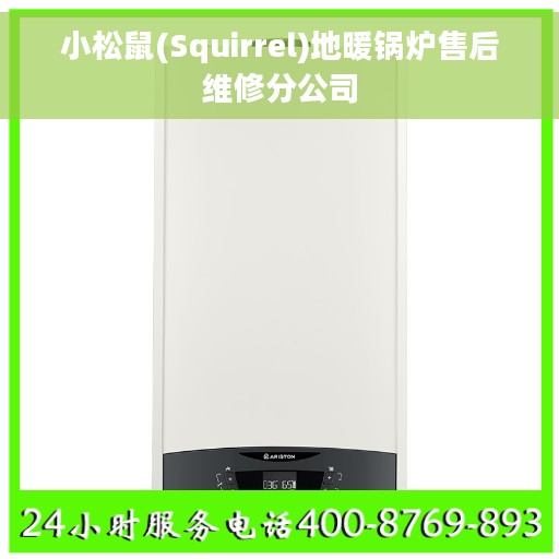 小松鼠(Squirrel)地暖锅炉售后维修分公司 小松鼠(Squirrel)地暖锅炉售后维修分公司