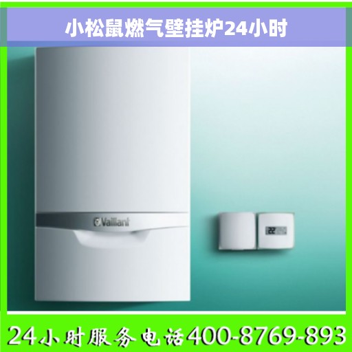 小松鼠燃气壁挂炉24小时