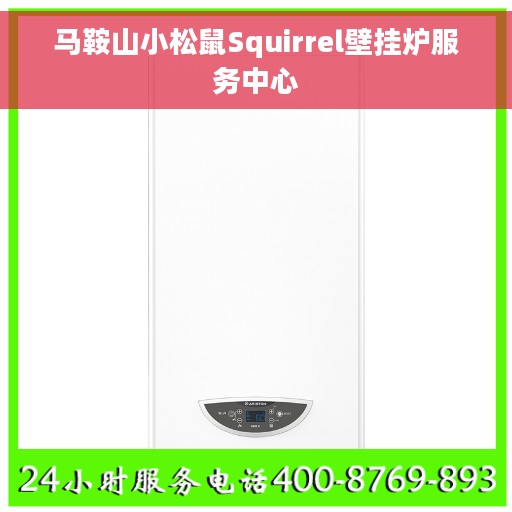 马鞍山小松鼠Squirrel壁挂炉服务中心
