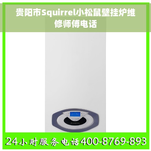 贵阳市Squirrel小松鼠壁挂炉维修师傅电话 贵阳市Squirrel小松鼠壁挂炉维修师傅电话