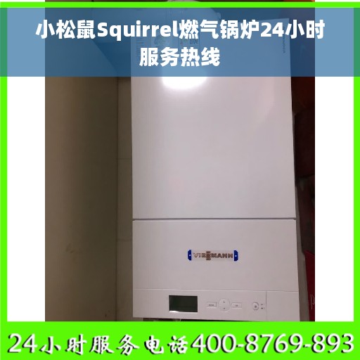 小松鼠Squirrel燃气锅炉24小时服务热线