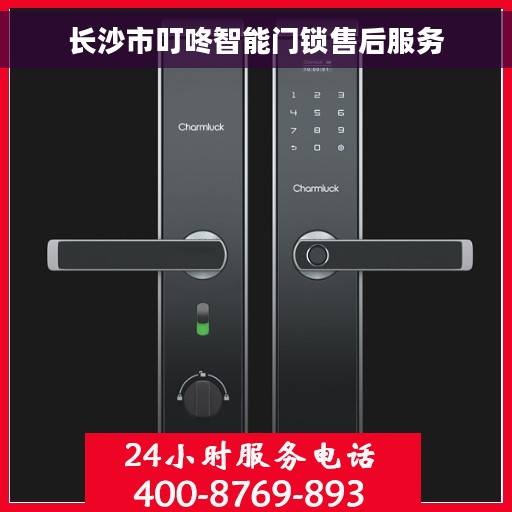 长沙市叮咚智能门锁售后服务