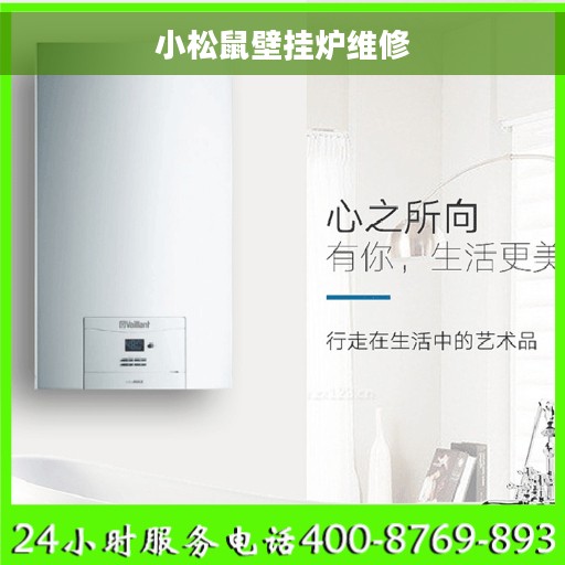 小松鼠壁挂炉维修