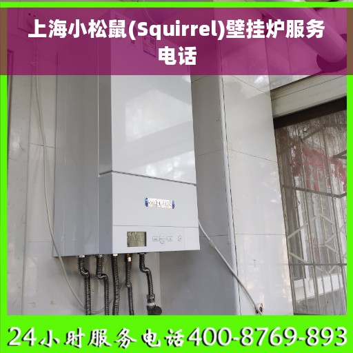 上海小松鼠(Squirrel)壁挂炉服务电话