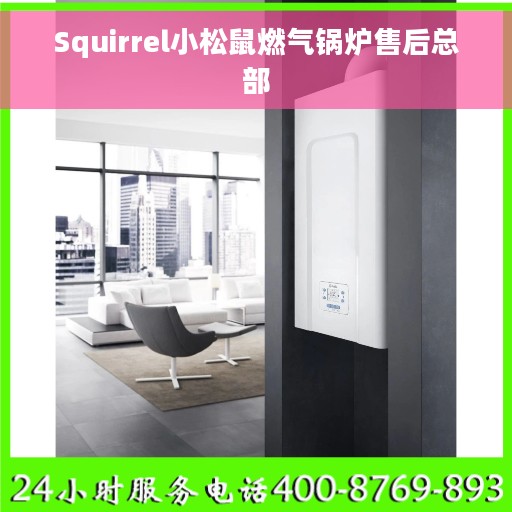 Squirrel小松鼠燃气锅炉售后总部