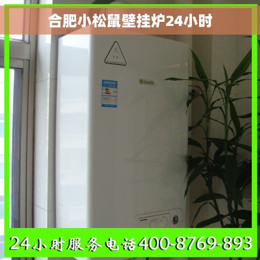 合肥小松鼠壁挂炉24小时