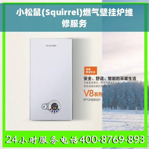 小松鼠(Squirrel)燃气壁挂炉维修服务