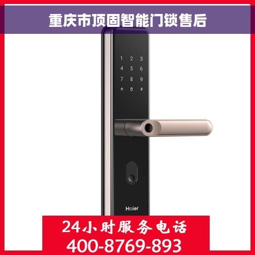 重庆市顶固智能门锁售后 重庆市顶固智能门锁售后
