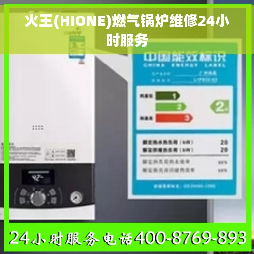 火王(HIONE)燃气锅炉维修24小时服务