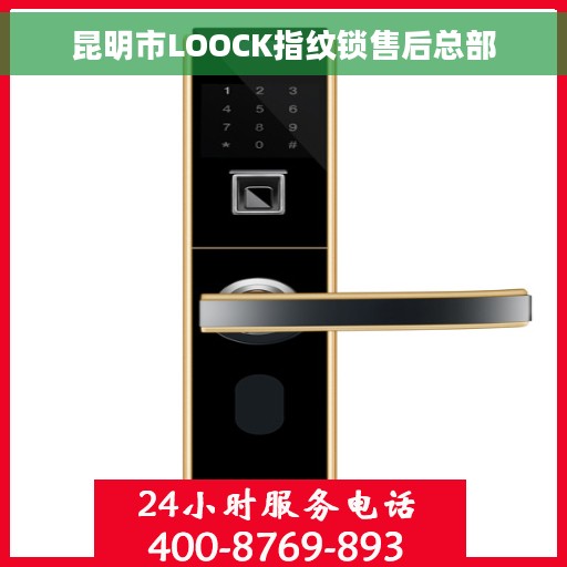 昆明市LOOCK指纹锁售后总部