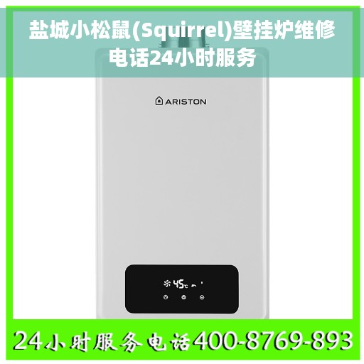 盐城小松鼠(Squirrel)壁挂炉维修电话24小时服务