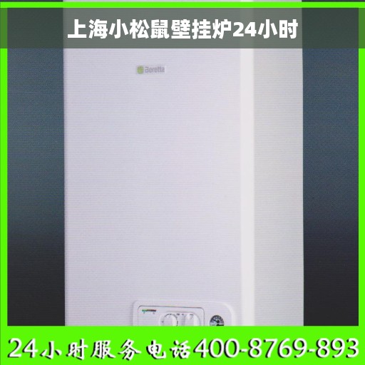 上海小松鼠壁挂炉24小时