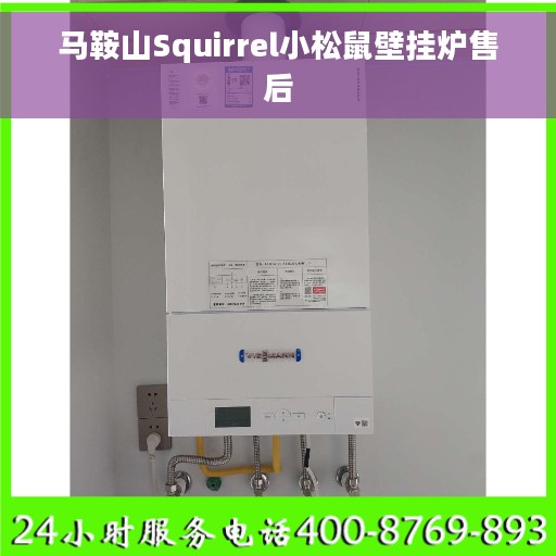 马鞍山Squirrel小松鼠壁挂炉售后