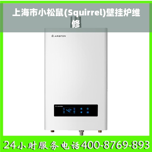 上海市小松鼠(Squirrel)壁挂炉维修