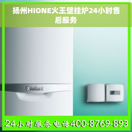 扬州HIONE火王壁挂炉24小时售后服务