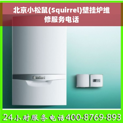 北京小松鼠(Squirrel)壁挂炉维修服务电话