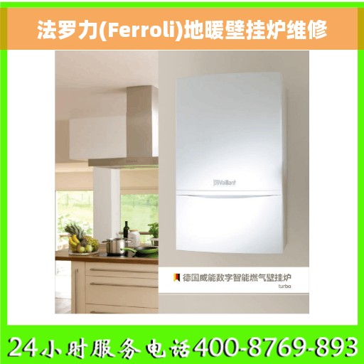 法罗力(Ferroli)地暖壁挂炉维修