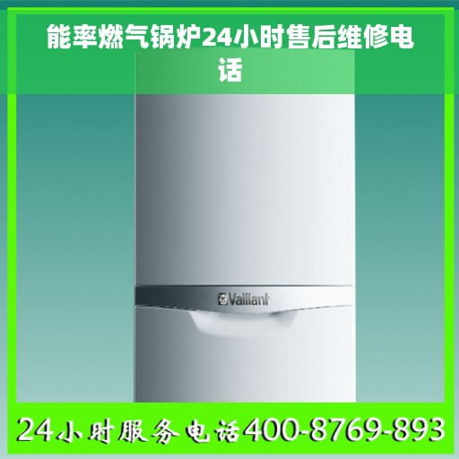 能率燃气锅炉24小时售后维修电话 能率燃气锅炉24小时售后维修电话