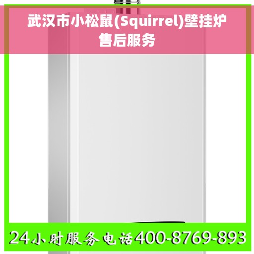 武汉市小松鼠(Squirrel)壁挂炉售后服务