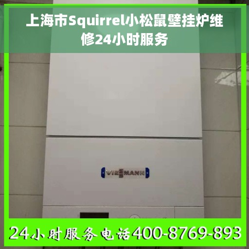 上海市Squirrel小松鼠壁挂炉维修24小时服务