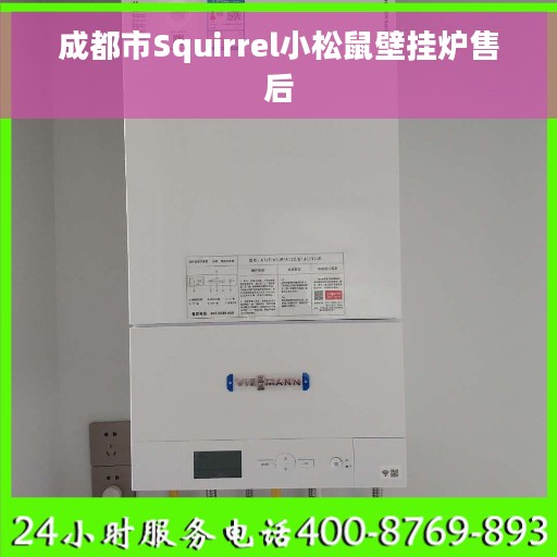 成都市Squirrel小松鼠壁挂炉售后