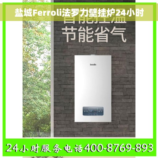 盐城Ferroli法罗力壁挂炉24小时