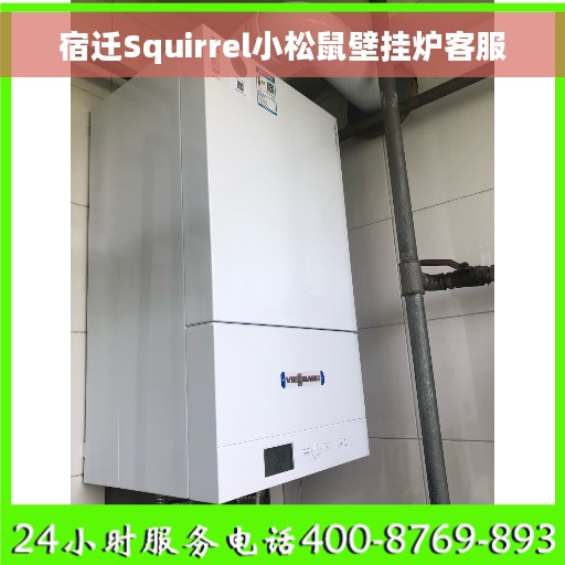 宿迁Squirrel小松鼠壁挂炉客服