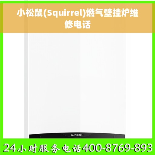 小松鼠(Squirrel)燃气壁挂炉维修电话
