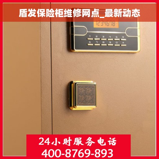 盾发保险柜维修网点_最新动态
