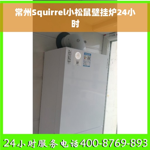 常州Squirrel小松鼠壁挂炉24小时