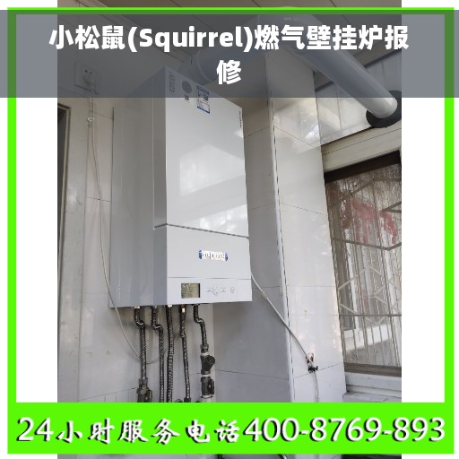 小松鼠(Squirrel)燃气壁挂炉报修