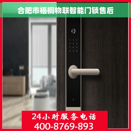 合肥市梧桐物联智能门锁售后