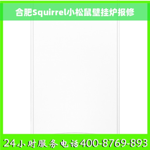 合肥Squirrel小松鼠壁挂炉报修