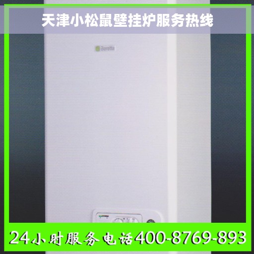 天津小松鼠壁挂炉服务热线