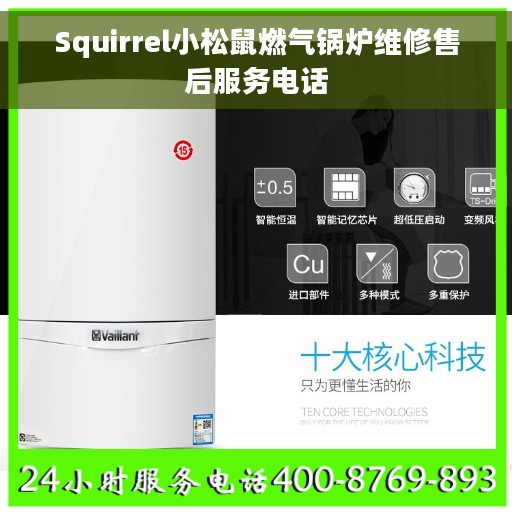 Squirrel小松鼠燃气锅炉维修售后服务电话