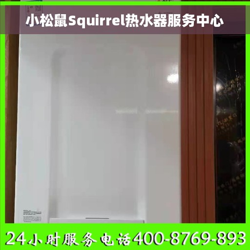 小松鼠Squirrel热水器服务中心