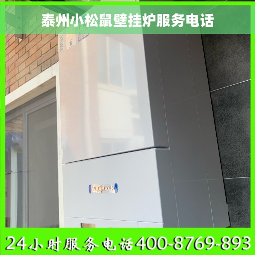 泰州小松鼠壁挂炉服务电话