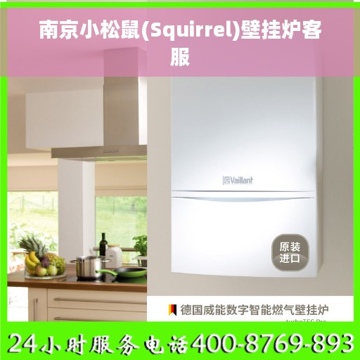 南京小松鼠(Squirrel)壁挂炉客服