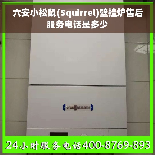 六安小松鼠(Squirrel)壁挂炉售后服务电话是多少