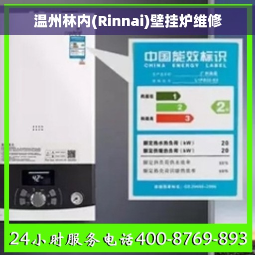 温州林内(Rinnai)壁挂炉维修