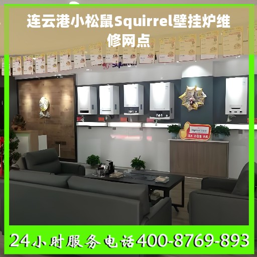 连云港小松鼠Squirrel壁挂炉维修网点
