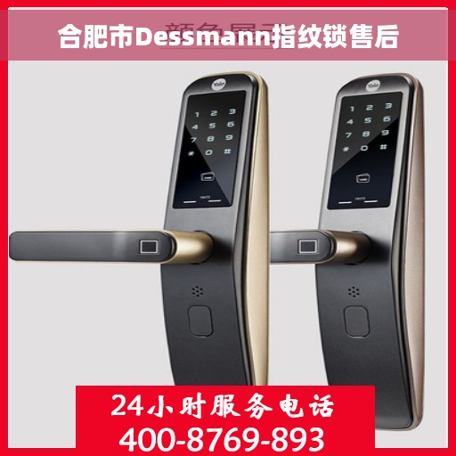 合肥市Dessmann指纹锁售后