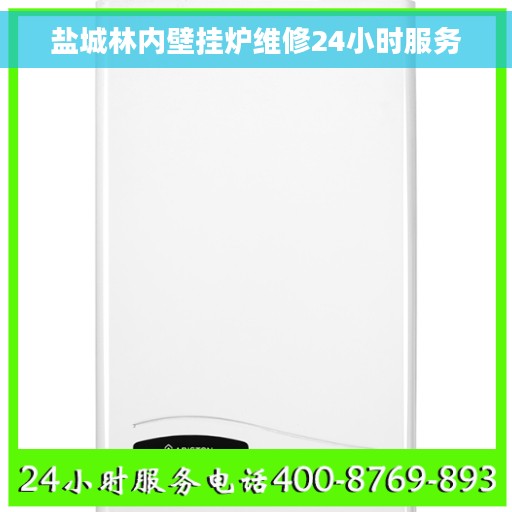 盐城林内壁挂炉维修24小时服务