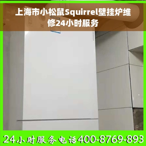上海市小松鼠Squirrel壁挂炉维修24小时服务