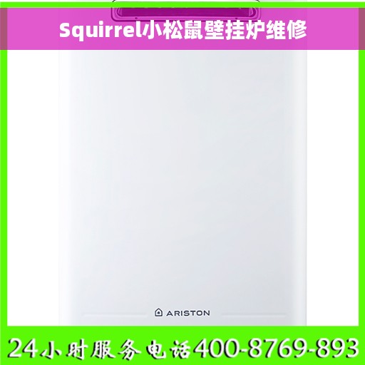 Squirrel小松鼠壁挂炉维修