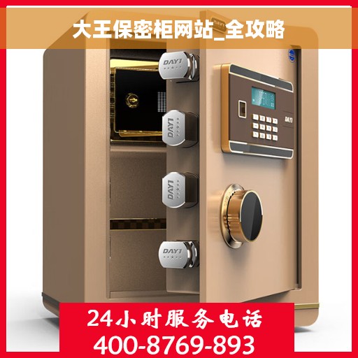 大王保密柜网站_全攻略