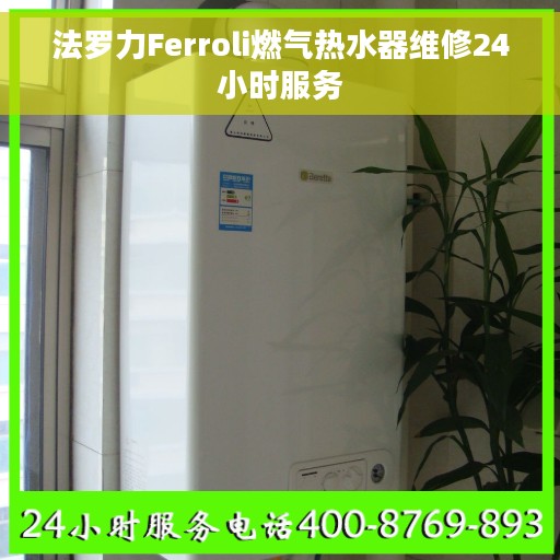 法罗力Ferroli燃气热水器维修24小时服务