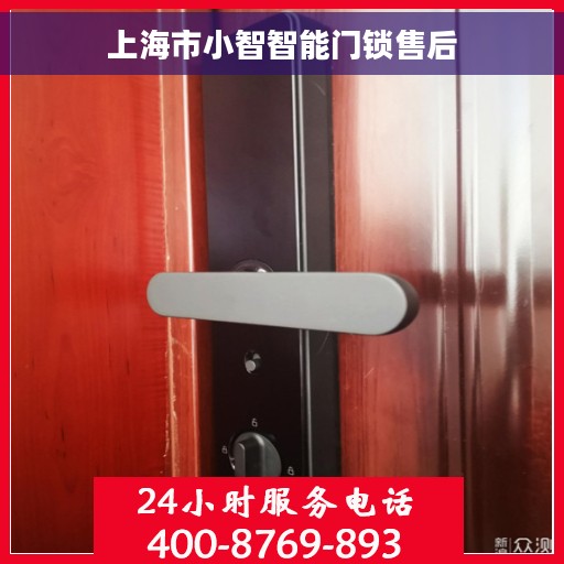 上海市小智智能门锁售后