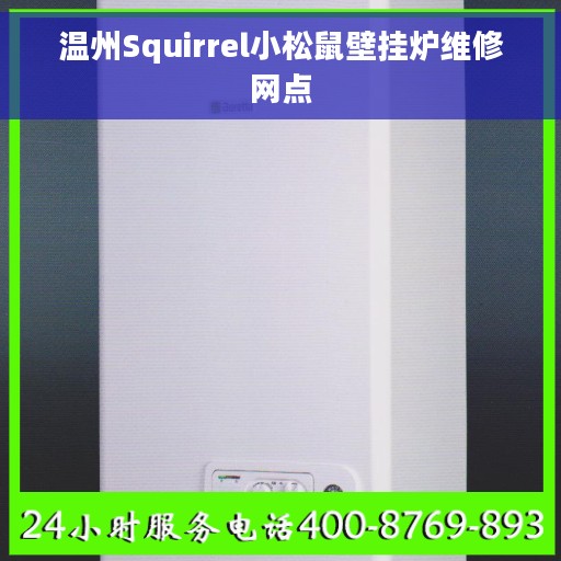 温州Squirrel小松鼠壁挂炉维修网点 温州Squirrel小松鼠壁挂炉维修网点