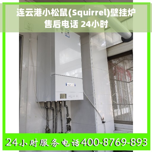 连云港小松鼠(Squirrel)壁挂炉售后电话 24小时